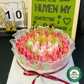 tulip mixx màu xịn